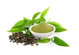 Green Tea Extract: Energy Booster